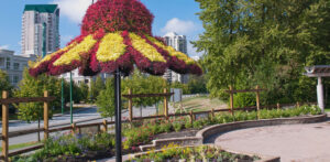 Why Coquitlam Is One of the Best Cities in Metro Vancouver for Iranian Families and Newcomers