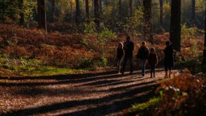 Lynn Valley Living: The Ultimate Family Guide to Food, Fun & Community